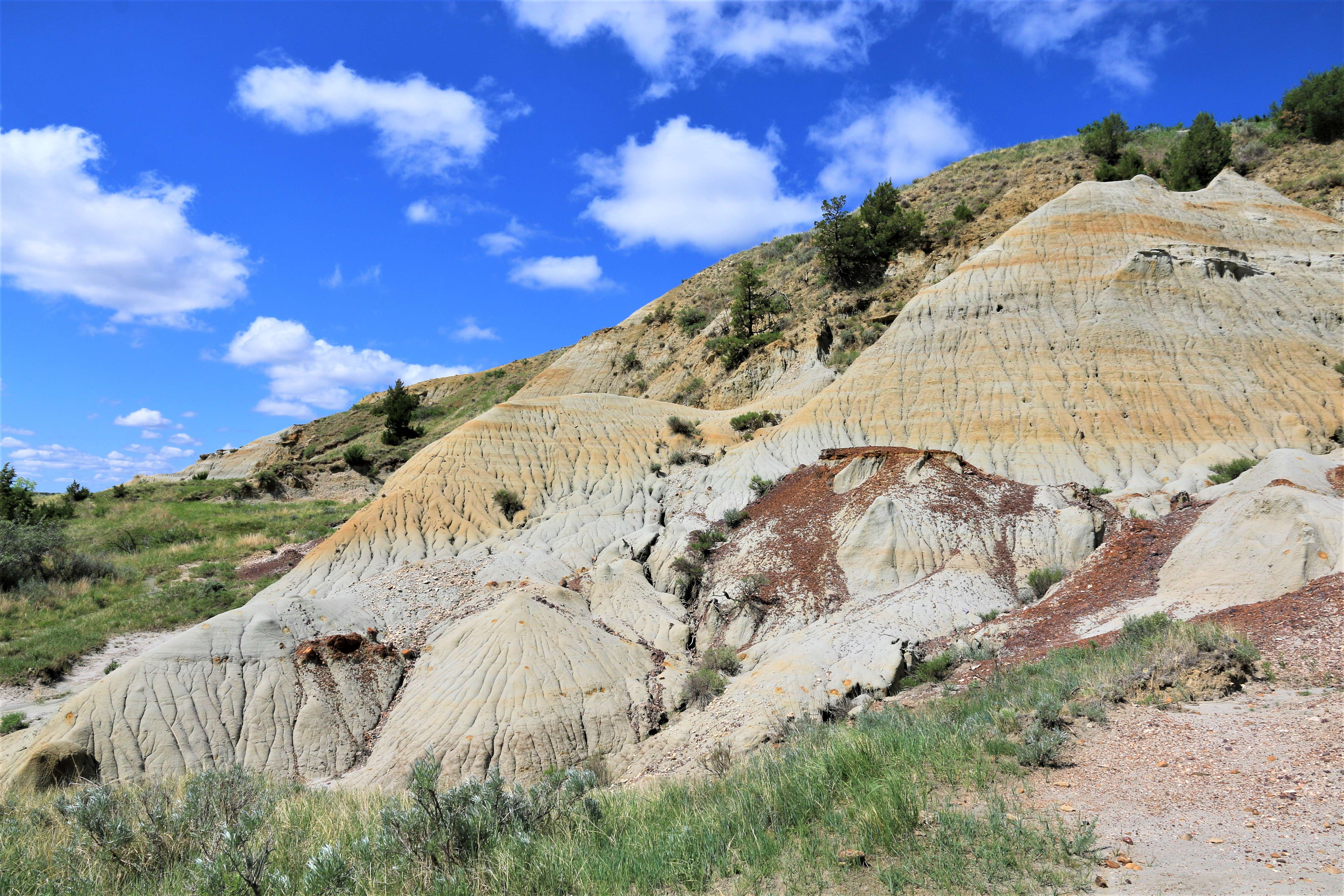 Theodore Roosevelt NP